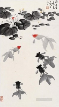 Wu zuoren goldfish in waterlily pond fish Oil Paintings